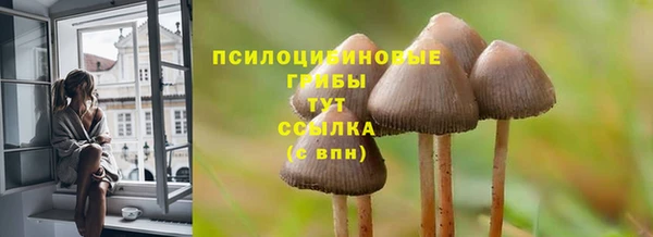 спайс Абаза