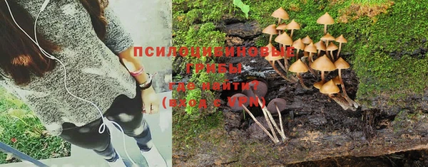 ПСИЛОЦИБИНОВЫЕ ГРИБЫ Абинск