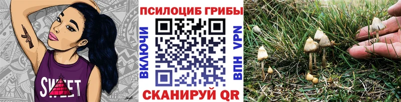 Псилоцибиновые грибы Cubensis  купить наркоту  Новое Девяткино 
